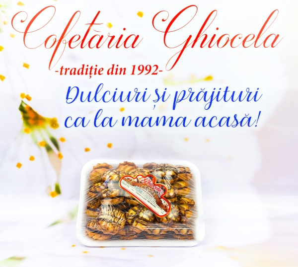 Paleuri Cu Gem Ghiocela 300G - imagine 2