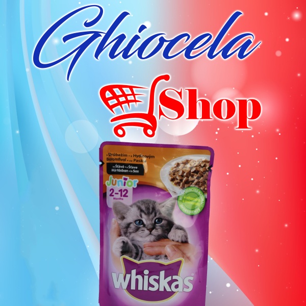 Whiskas-Mâncare umedă pentru pisici-2 luni+-100G