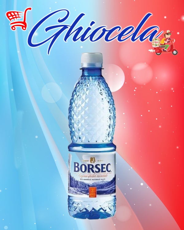 Apa Borsec 0,5L plată