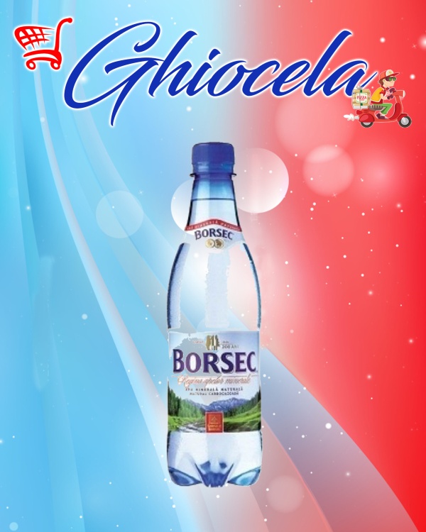 Apa Borsec 0,5L minerală